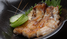 季節の料理